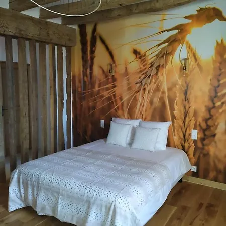 Bed and Breakfast Le Bas Chitray Ménil Exterior foto